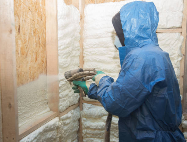 Eco-Friendly Insulation Solutions in Scappoose, OR